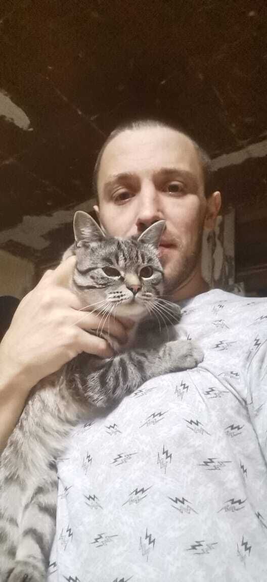 ���������� ���������, ���� ������� �����, 34 ����, ������������ ��� ������, ����� � ���������