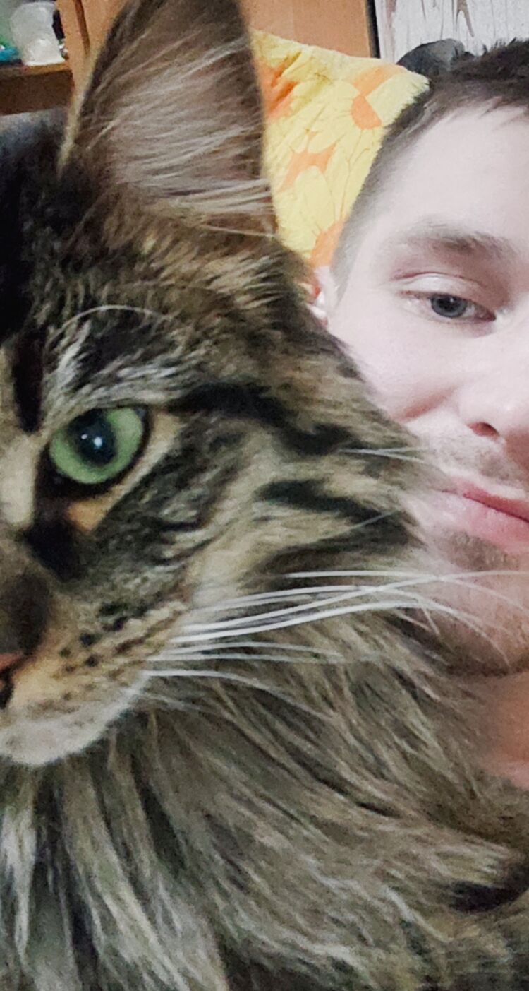 ���������� �����, ���� ������� ������, 30 ���, ������������ ��� ������, c�������� ���������, ���������