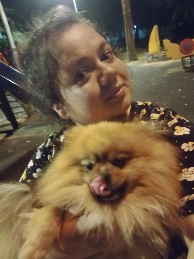 ���� 28731446 ������� ����, 27 ���, ���� ���������� � ������