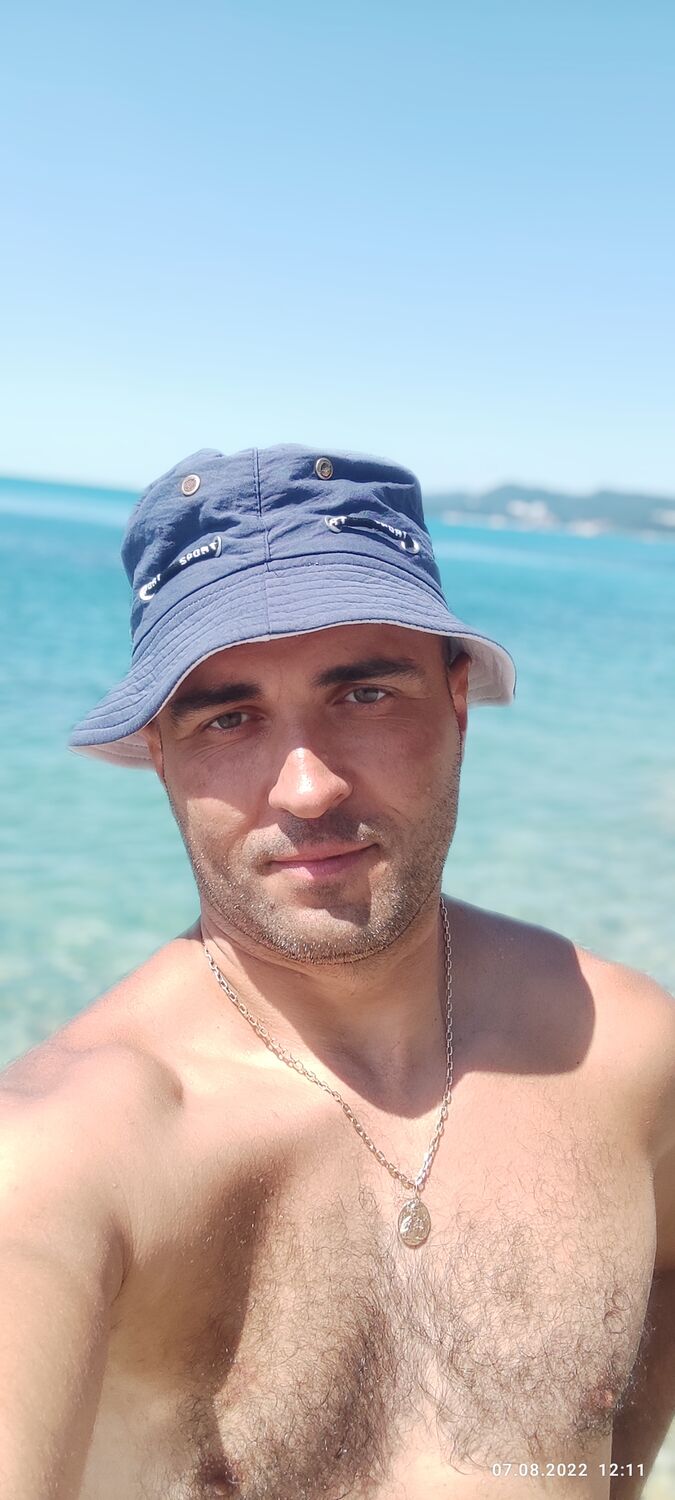  31745246  , 43 ,    -