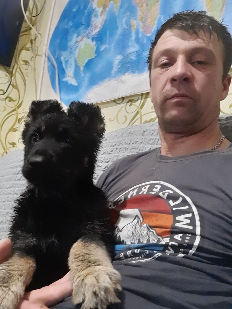 ���� 26351976 ������� �������, 40 ���, ���� ���������� � ��������