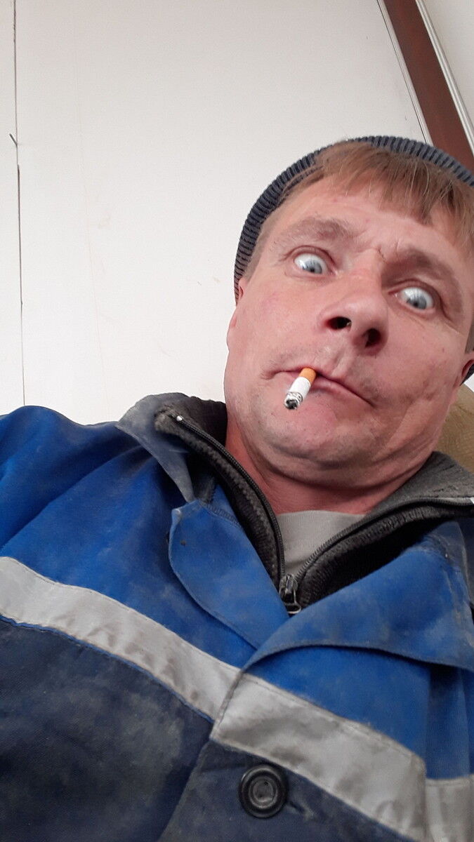  13647836  , 49 ,    -