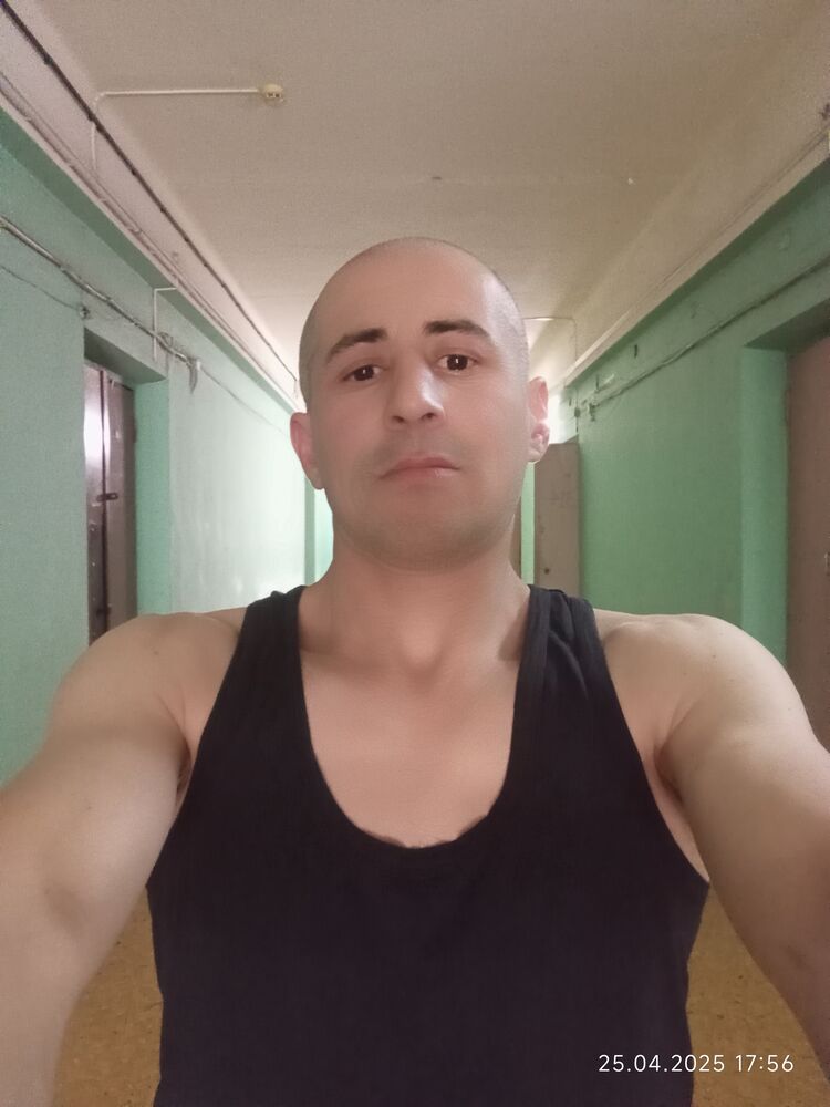  51114096  , 40 ,    