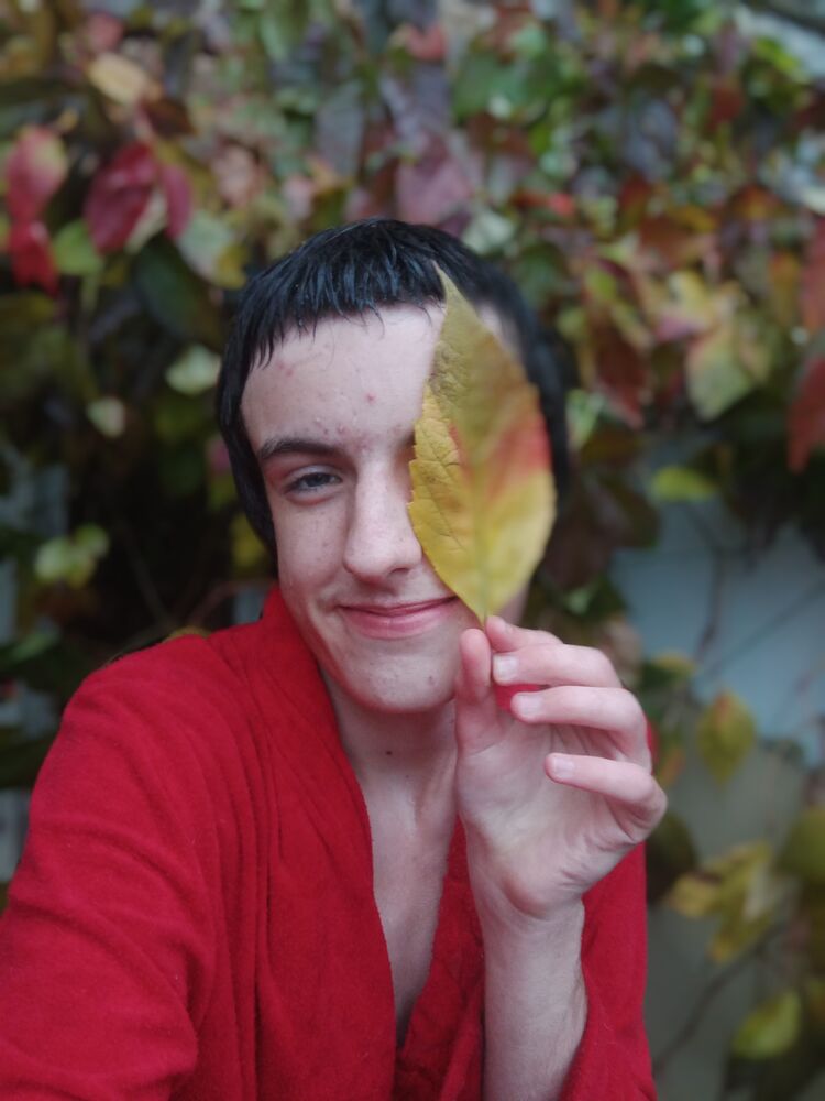 ���� 24160066 ����� ��������, 22 ����, ���� ���������� � ���������