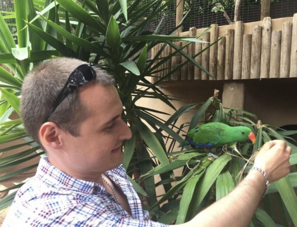 ���������� �����������, ���� ������� �����, 37 ���, ������������ ��� ������, ����� � ���������, c�������� ���������, ���������