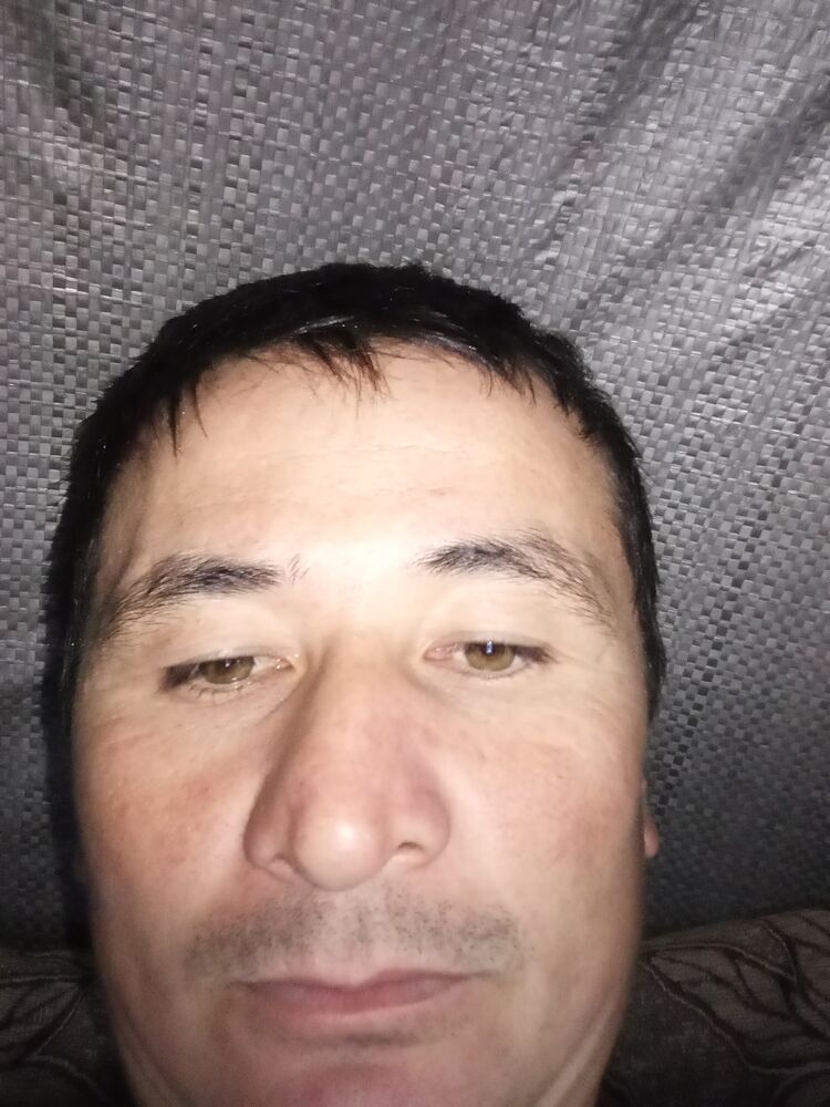 ���� 38596656 ������� �����, 32 ����, ���� ���������� � ������