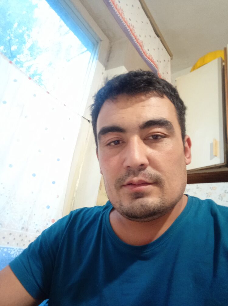  29364916  , 31 ,    