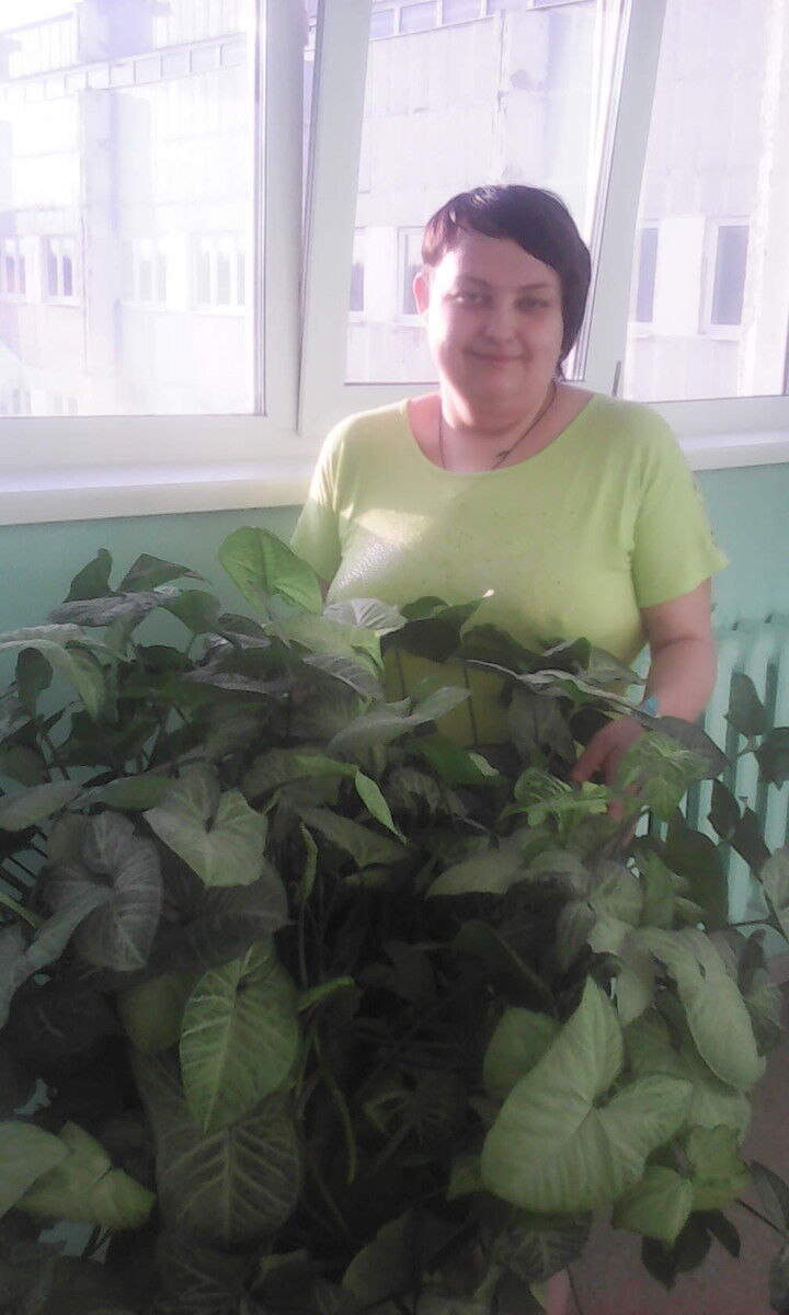 ���� 7314436 ������� ���������, 36 ���, ���� ���������� � ��������