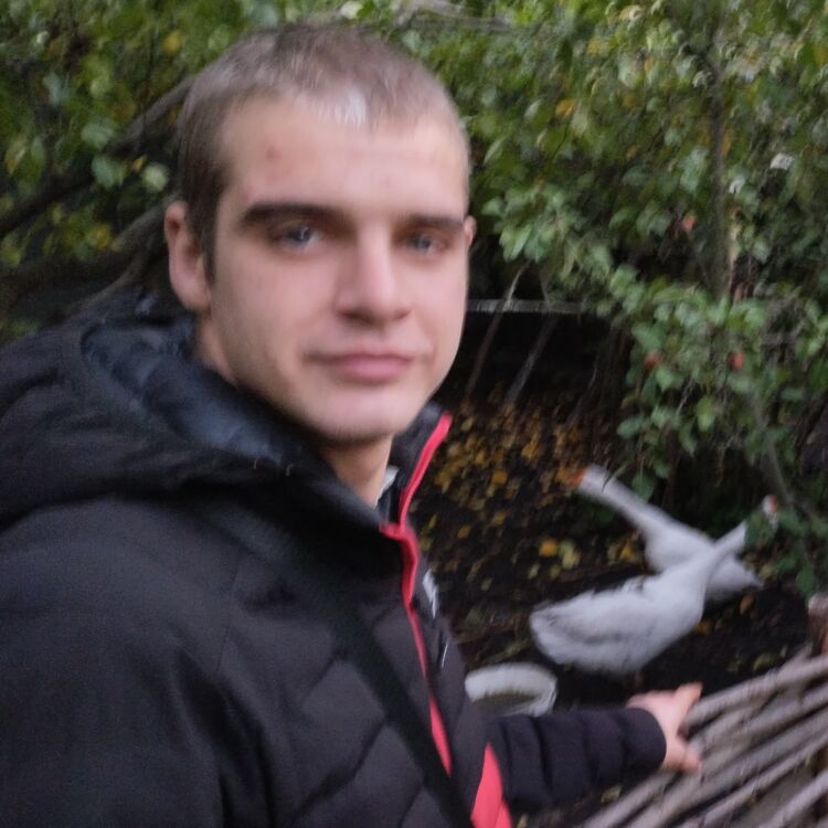 ���������� �������, ���� ������� ����, 28 ���, ������������ ��� ������, ����� � ���������, c�������� ���������, ���������