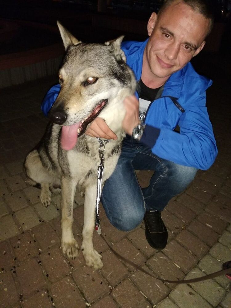 ���� 19763436 ������� �������, 36 ���, ���� ���������� � ���������