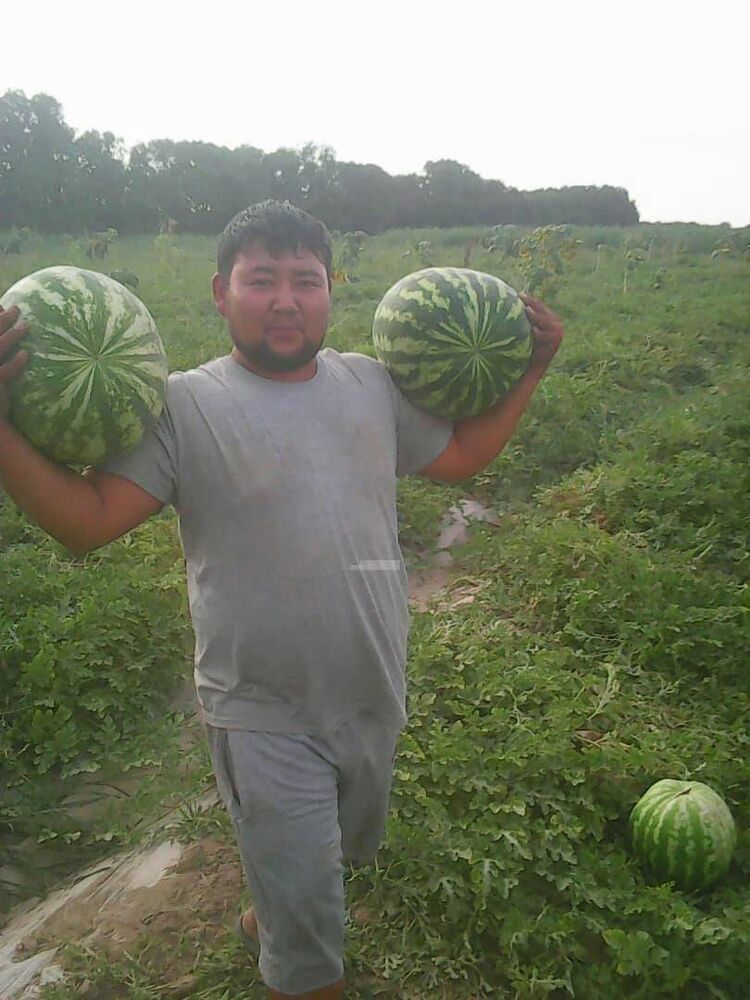 ���� 17923626 ������� �����, 37 ���, ���� ���������� � ������