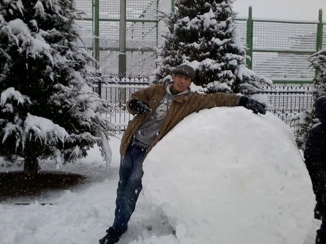 ���� 5103186 ������� �����, 33 ����, ���� ���������� � ��������