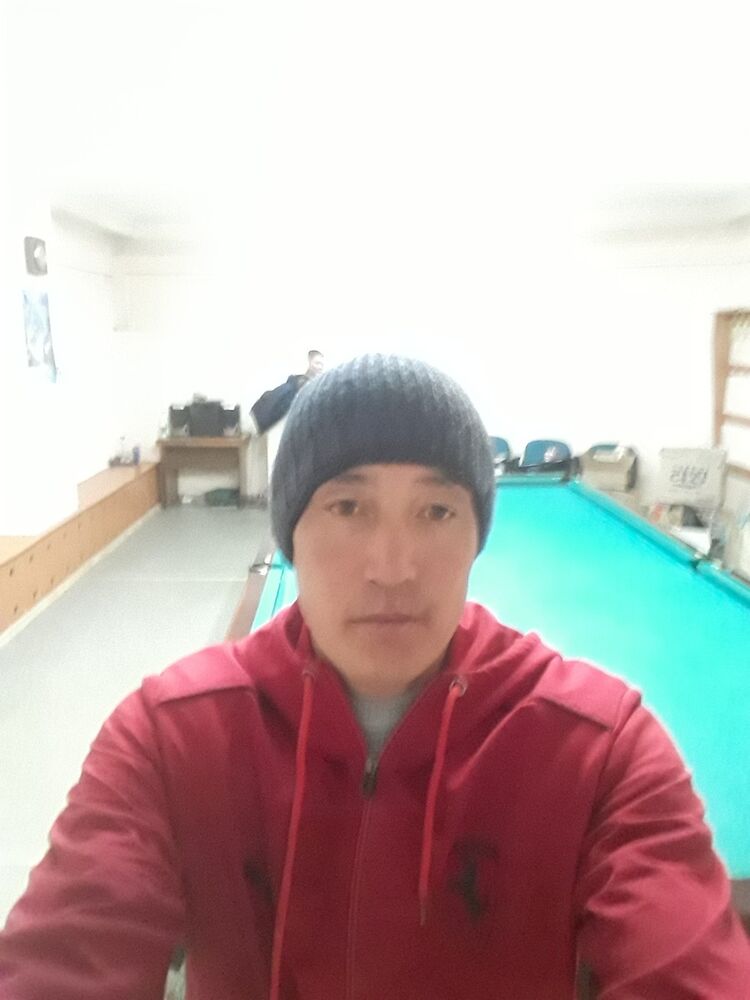  15052566   , 41 ,    -