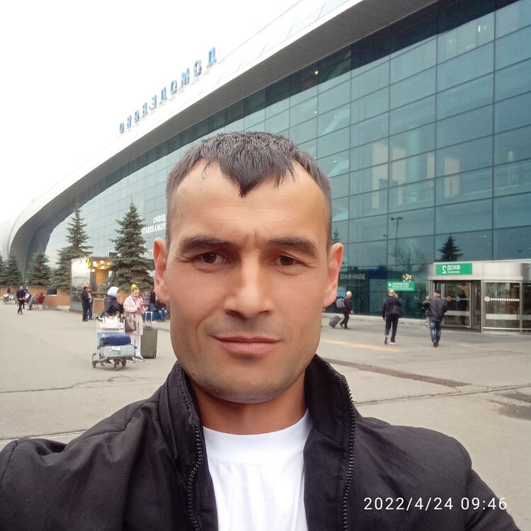  28377646  , 38 ,    