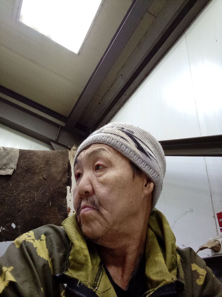  39873526  , 55 ,    -