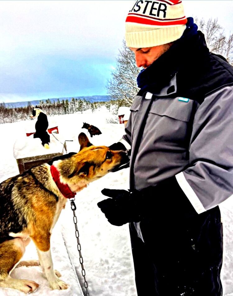 ���� 55136876 ������� �����, 37 ���, ���� ���������� � ������ ���������