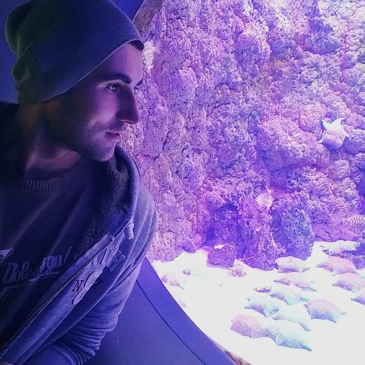 ���� 23007066 ������� ����, 30 ���, ���� ���������� � ������