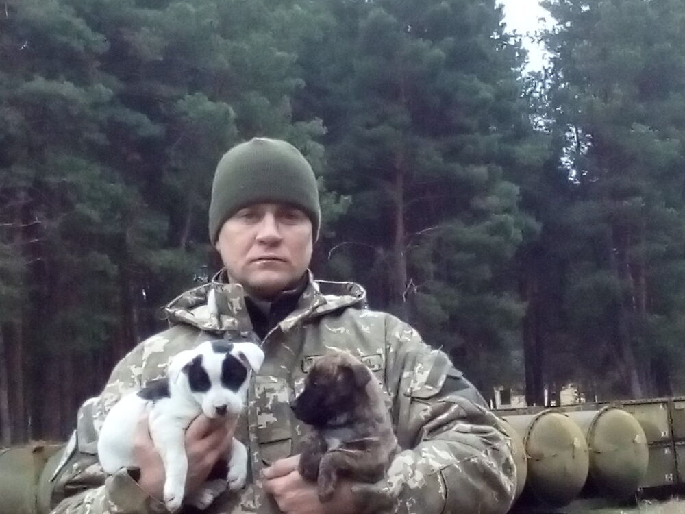 ���������� ��������, ���� ������� ����, 45 ���, ������������ ��� ������, ����� � ���������, c�������� ���������