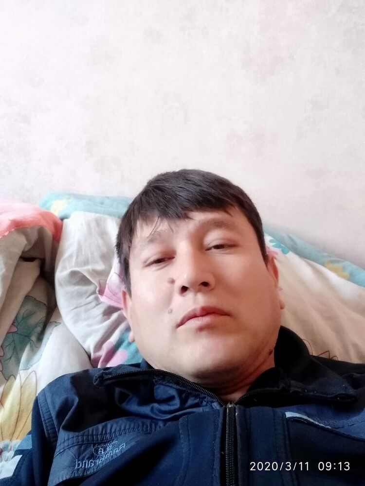  20784176  , 40 ,    