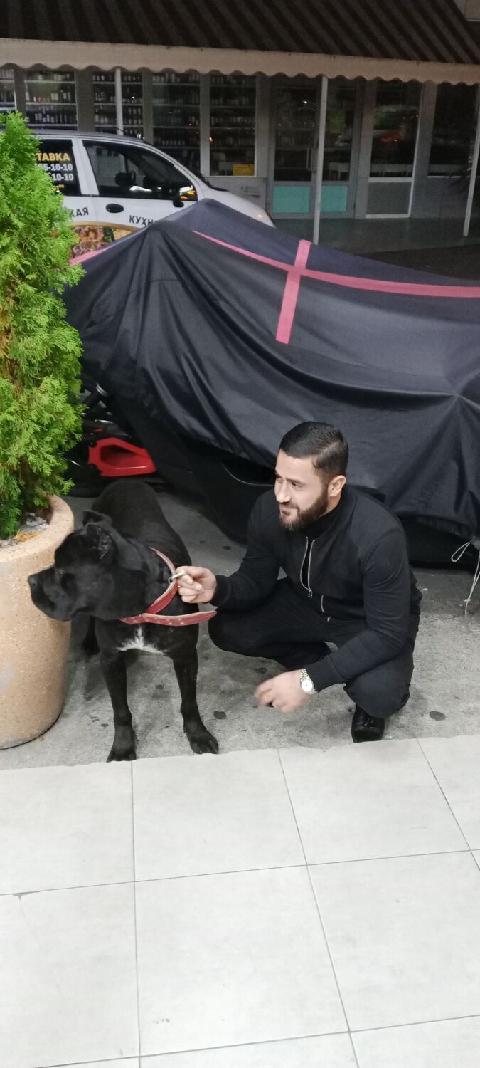 ���� 39080876 ������� �����, 35 ���, ���� ���������� � �����������