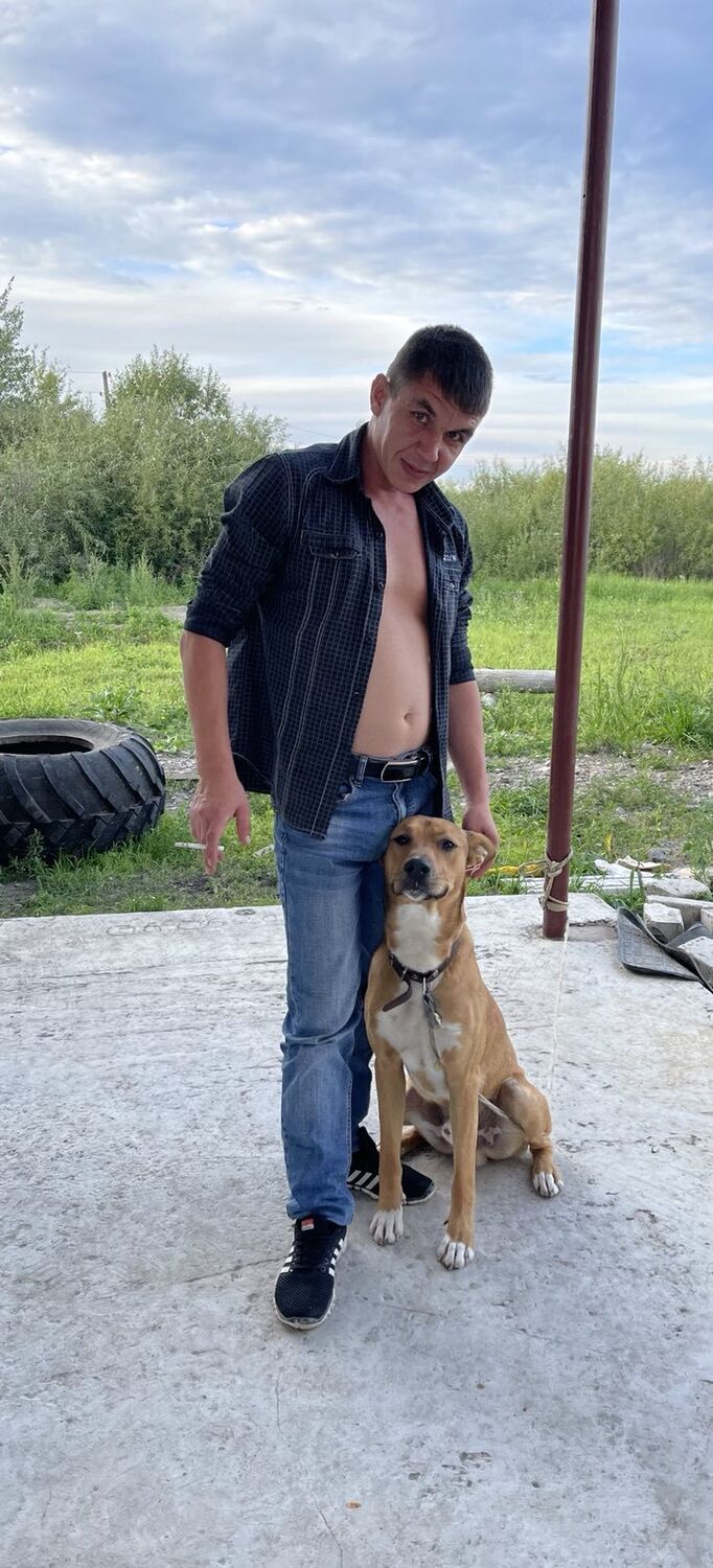 ���������� ������, ���� ������� ������, 37 ���, ������������ ��� ������, ����� � ���������