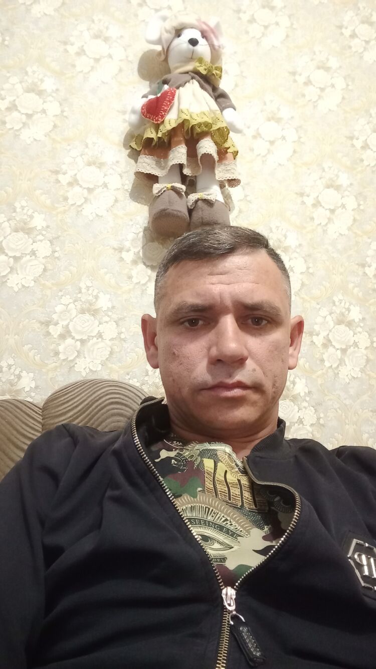  34493386  , 41 ,    