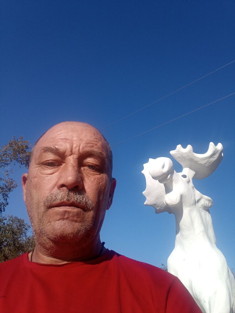  38717946  , 56 ,    