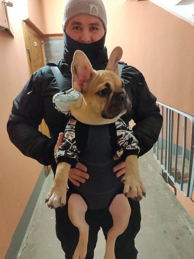  54380126  , 30 ,    -