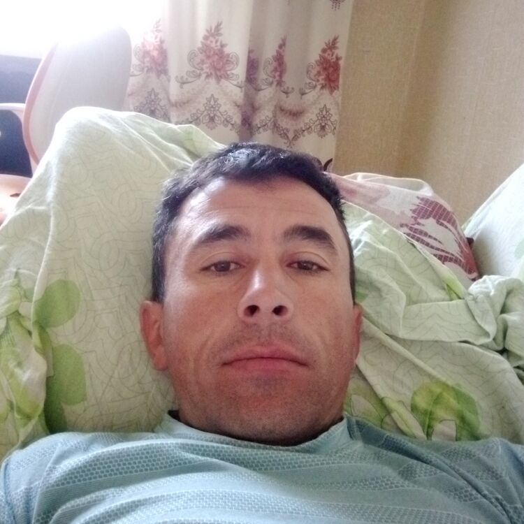  36032596  , 37 ,    