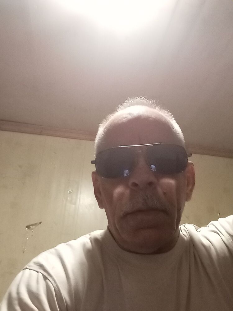  44016426  , 62 ,    -