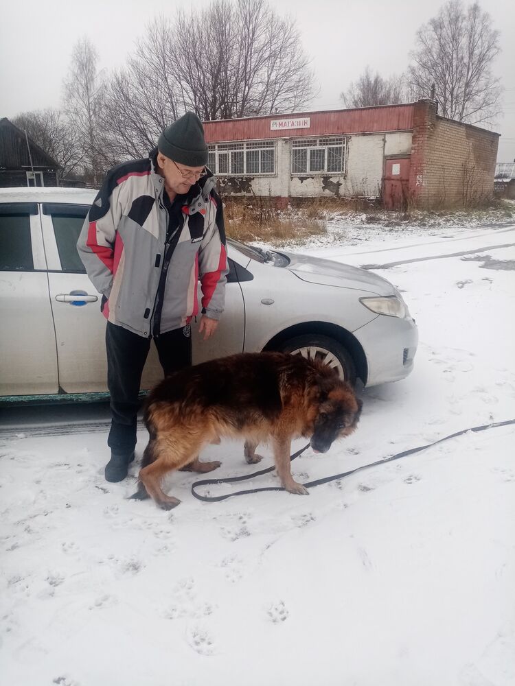 ���������� ������, ���� ������� �����, 65 ���, ������������ ��� ������, ����� � ���������, c�������� ���������