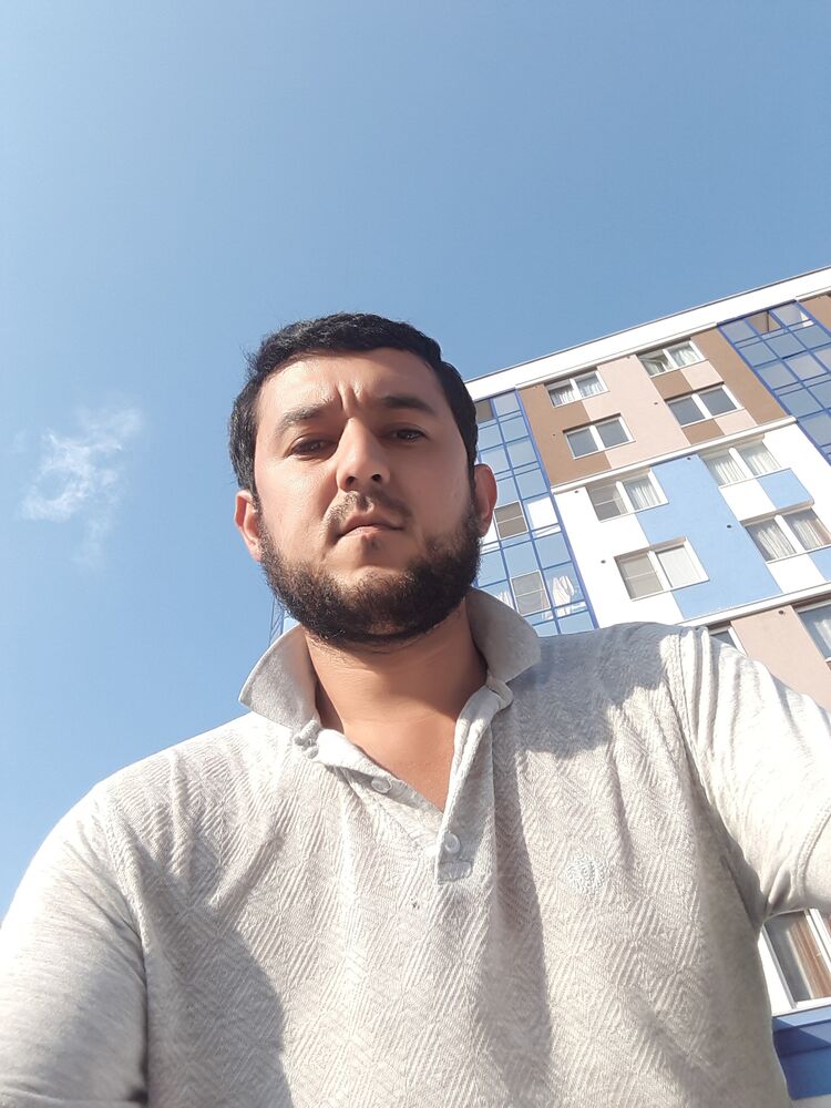  23534946  , 33 ,    -