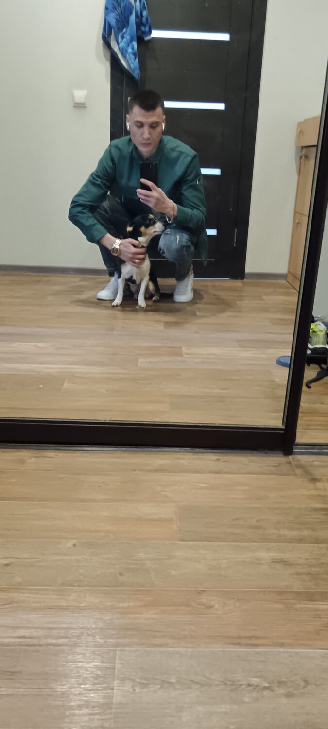  50041786  , 32 ,    