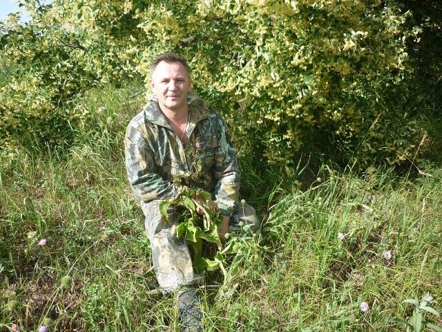 ���� 54671206 ������� ������, 47 ���, ���� ���������� � �������������