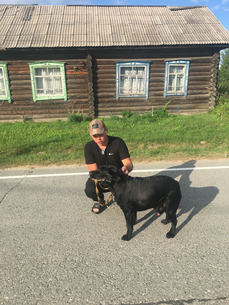  36684816  , 25 ,    