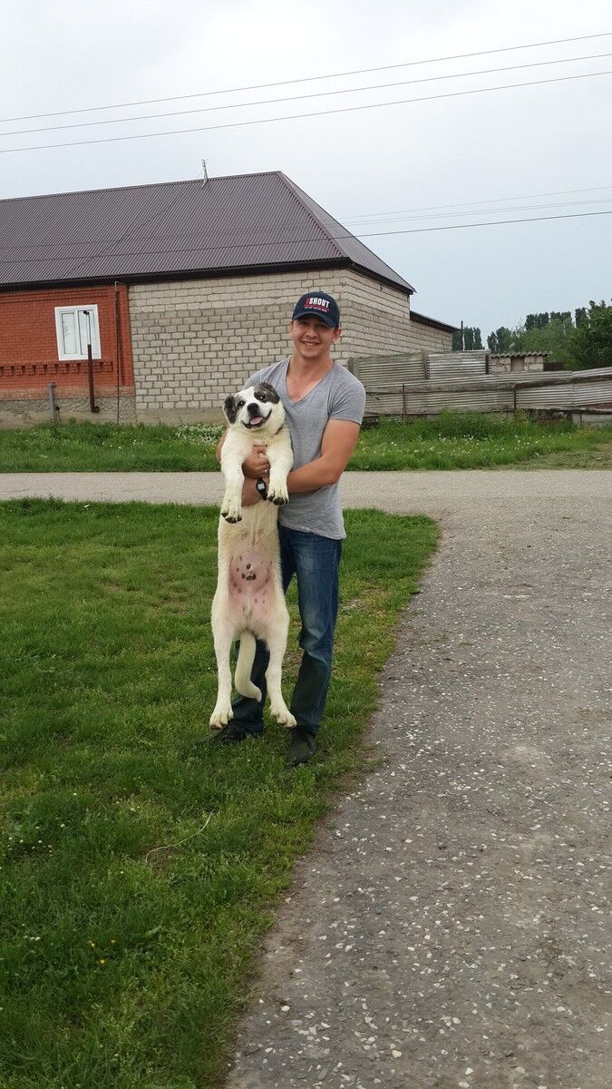 ���������� �������, ���� ������� ������, 34 ����, ������������ ��� ������, ����� � ���������, c�������� ���������