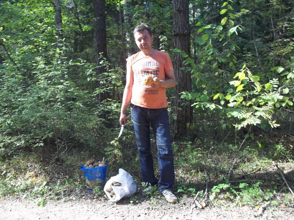  ,   , 52 ,   