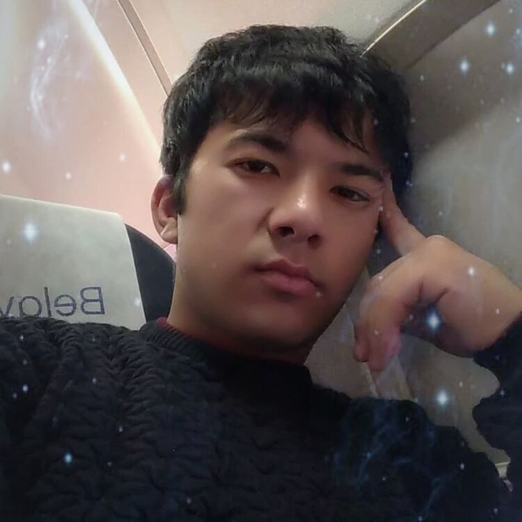  28580686  , 31 ,    