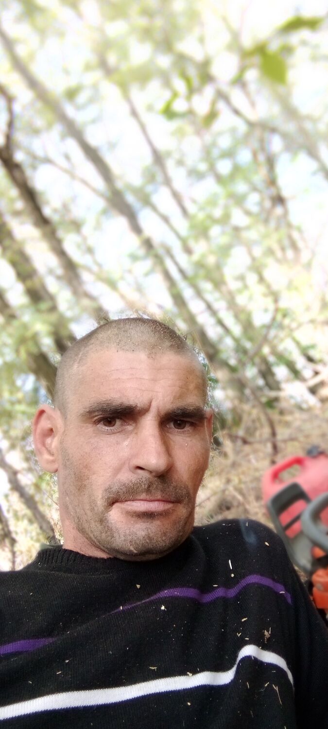  30554786  , 40 ,    