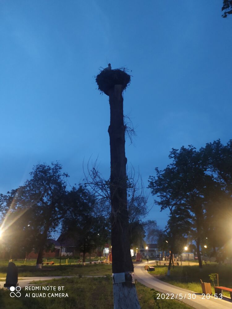 ���� 28257126 ������� �����, 39 ���, ���� ���������� � ��������