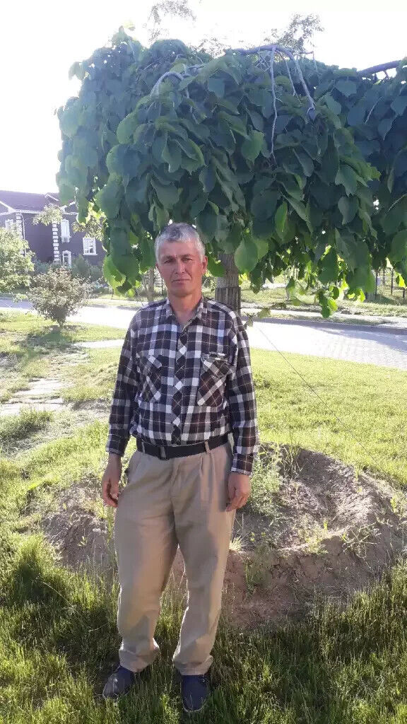  ,   , 49 ,   c 