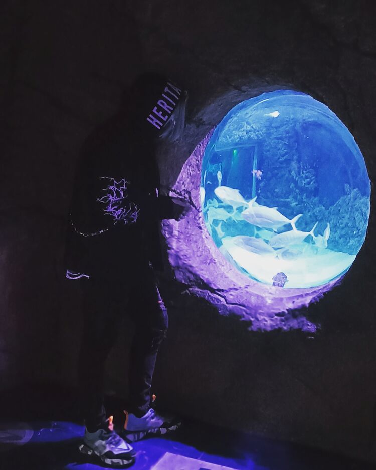 ���������� ������, ���� ����� �������, 25 ���, ������������ ��� ������, ����� � ���������