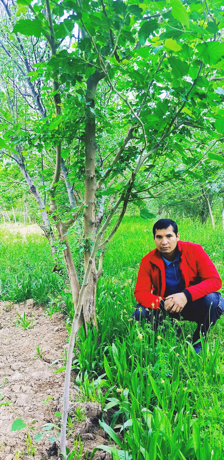  ,   , 33 ,   ,   , c , 