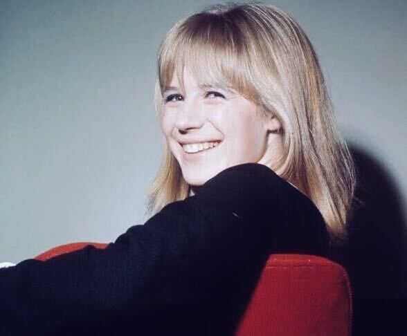 ���� 56081086 ������� ����, 38 ���, ���� ���������� � ������