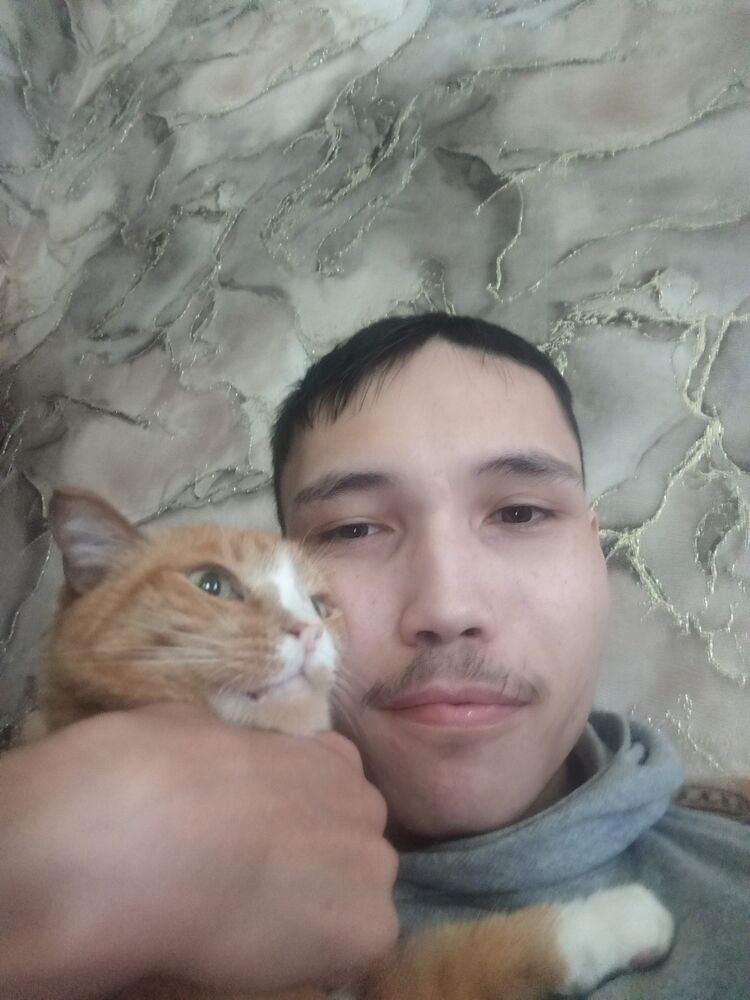 ���� 41169066 ����� ����, 24 ����, ���� ���������� � ����������