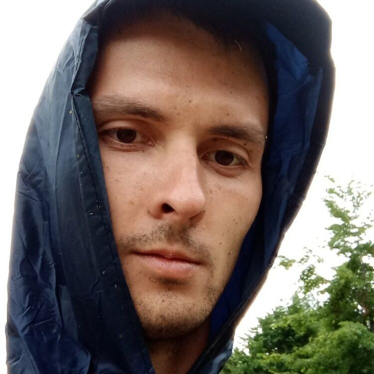  36506446  , 28 ,    