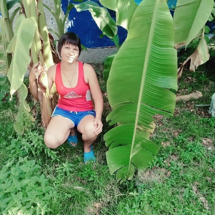  ,   , 44 ,     , c 