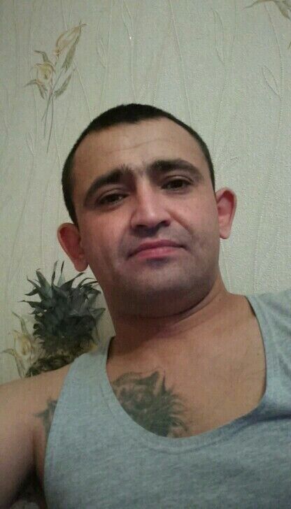  21626356  , 41 ,    