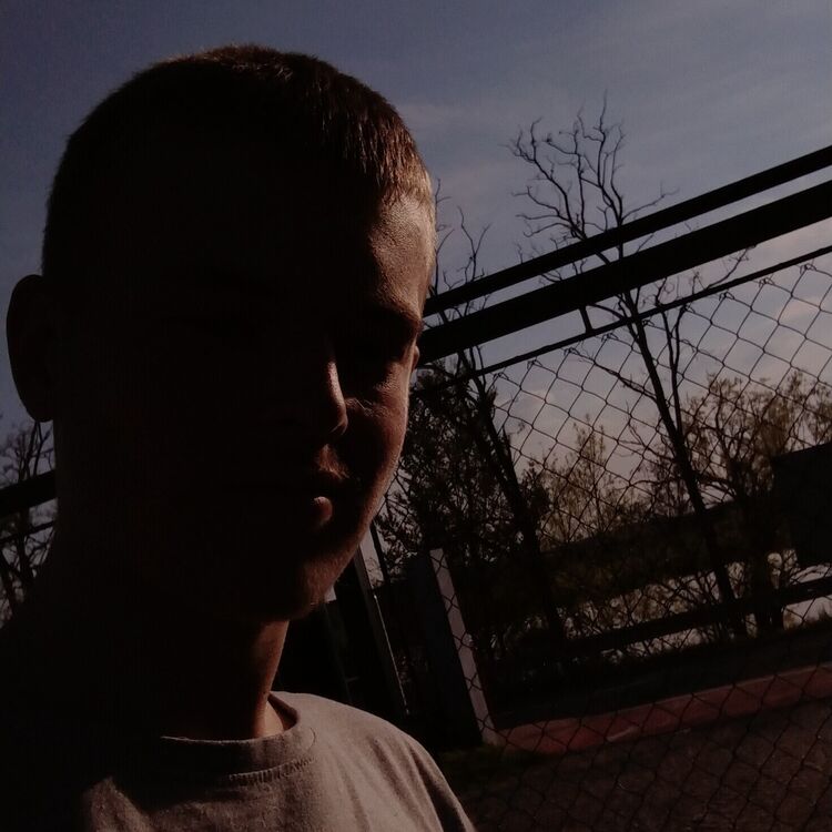  38513646  , 20 ,     