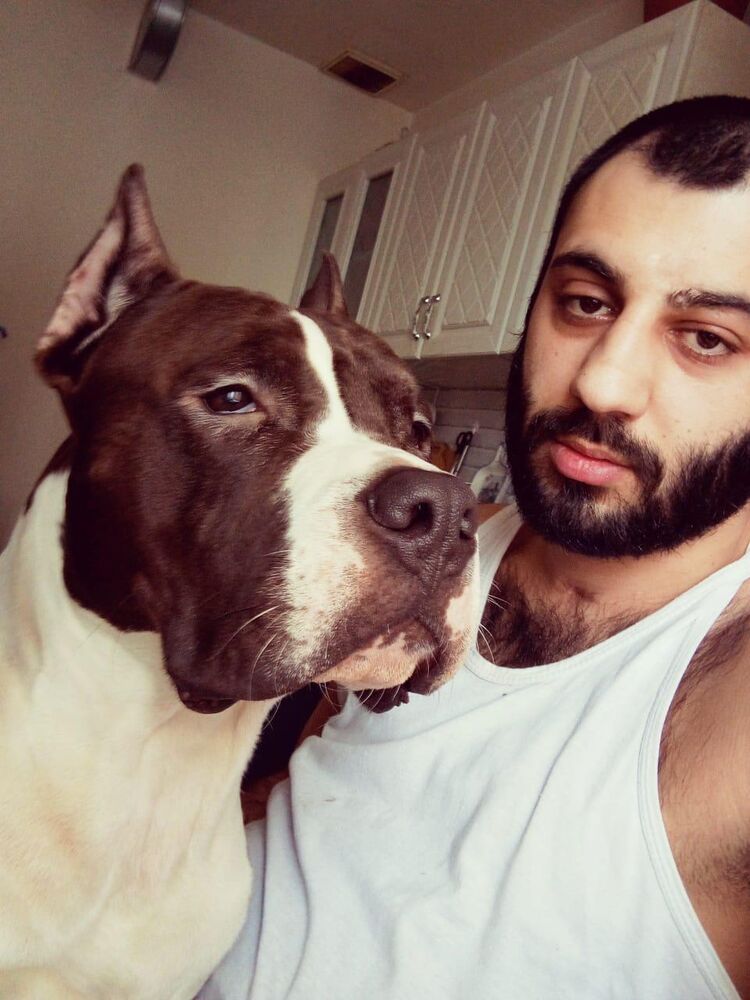  54475236  , 28 ,    -